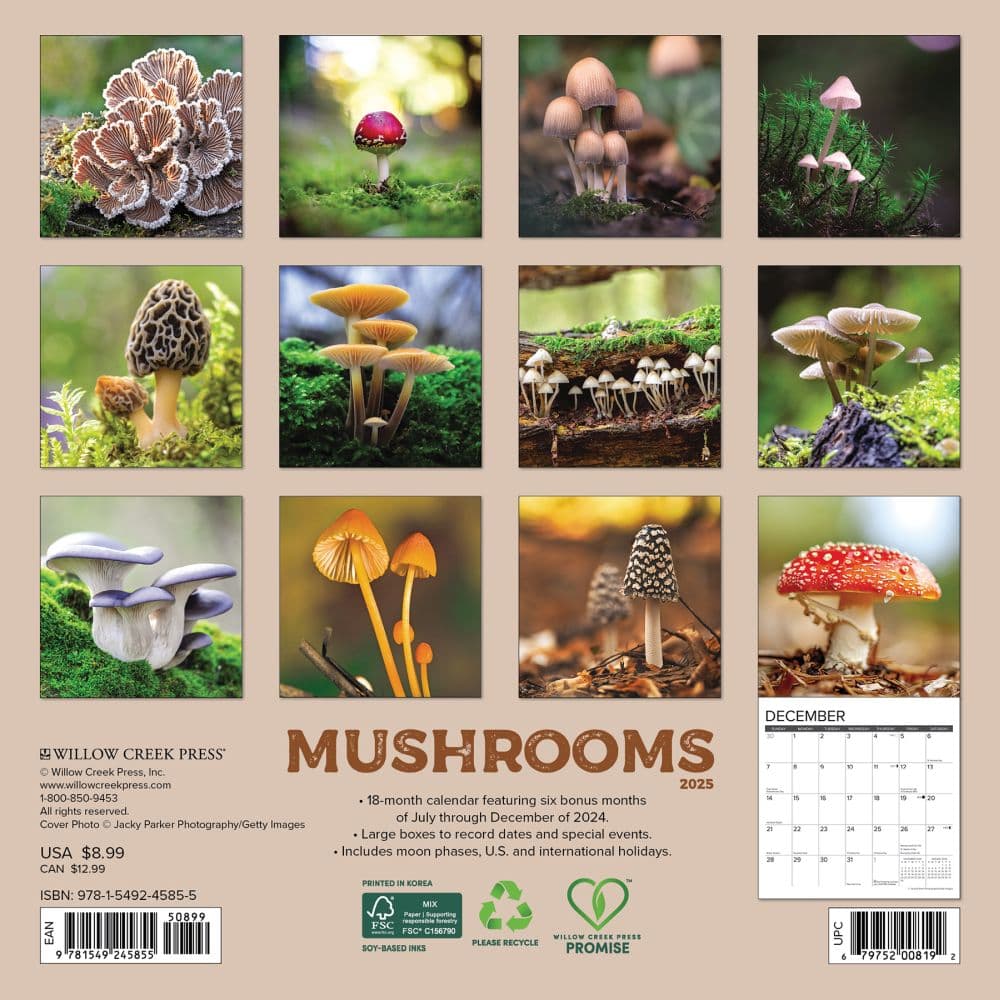 Mushrooms 2024 Mini Wall Calendar Alt1