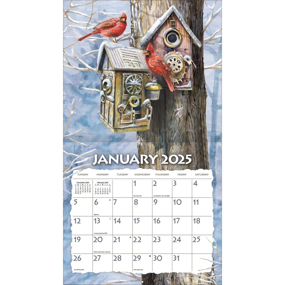 Birdhouses 2025 Wall Calendar by Tim Coffey_ALT2