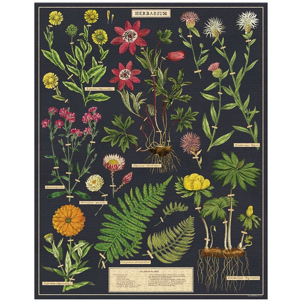 Herbarium 1000pc Puzzle