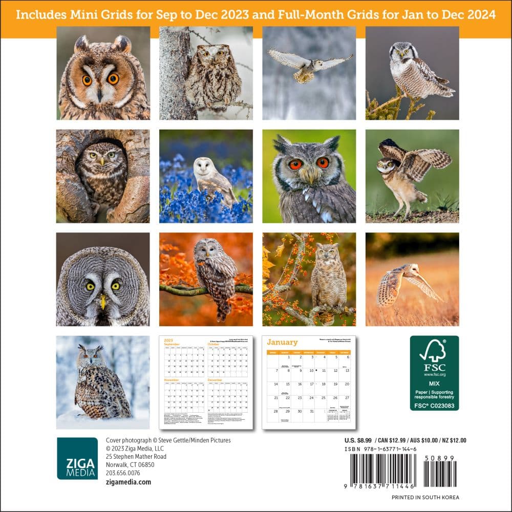 Owls 2024 Mini Wall Calendar