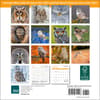 image owls-wwf-2024-mini-wall-calendar-alt1