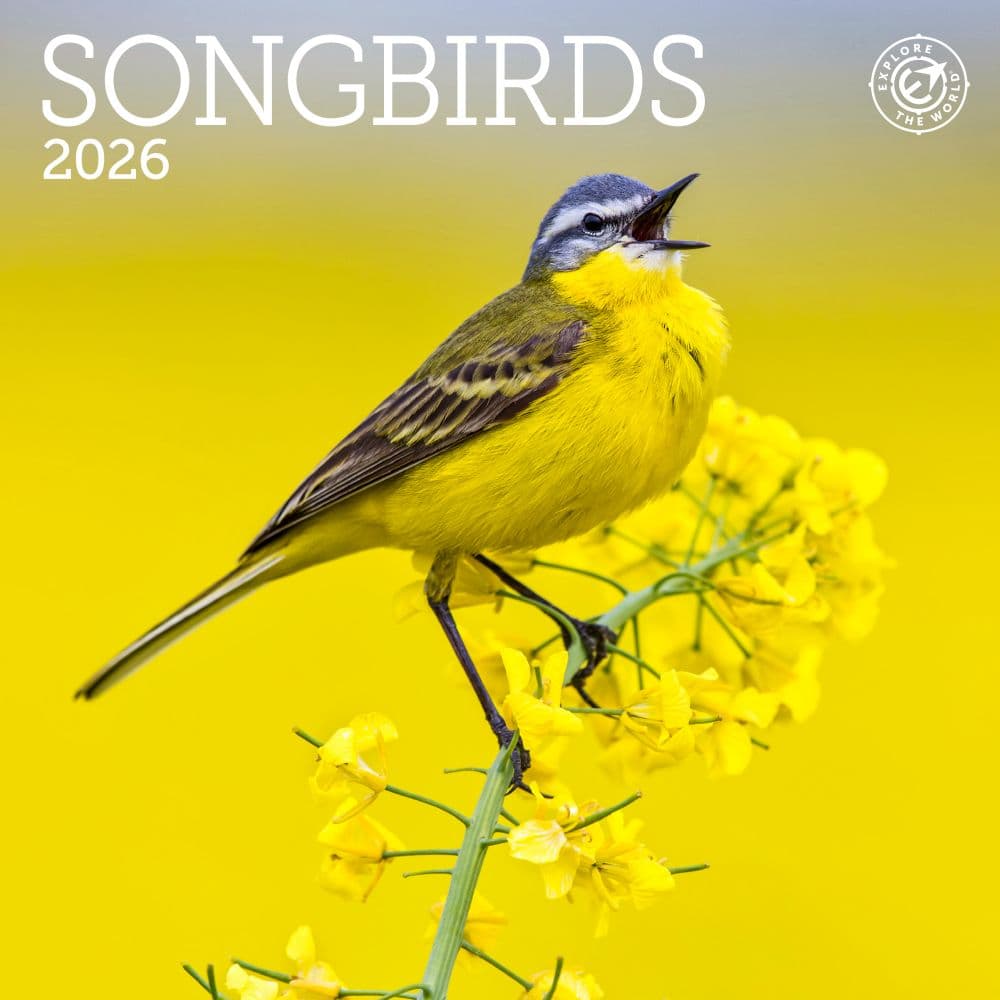 Songbirds 2026 Mini Wall Calendar  Main Image