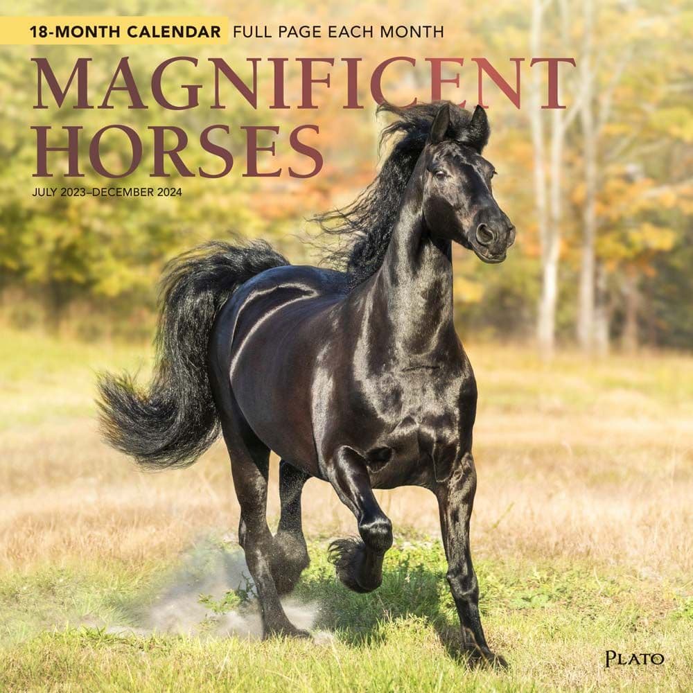 Magnificent Horses 18 Month 2024 Wall Calendar Main Image