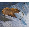 image Apex Predators WWF 2025 Wall Calendar Third Alternate Image width="1000" height="1000"