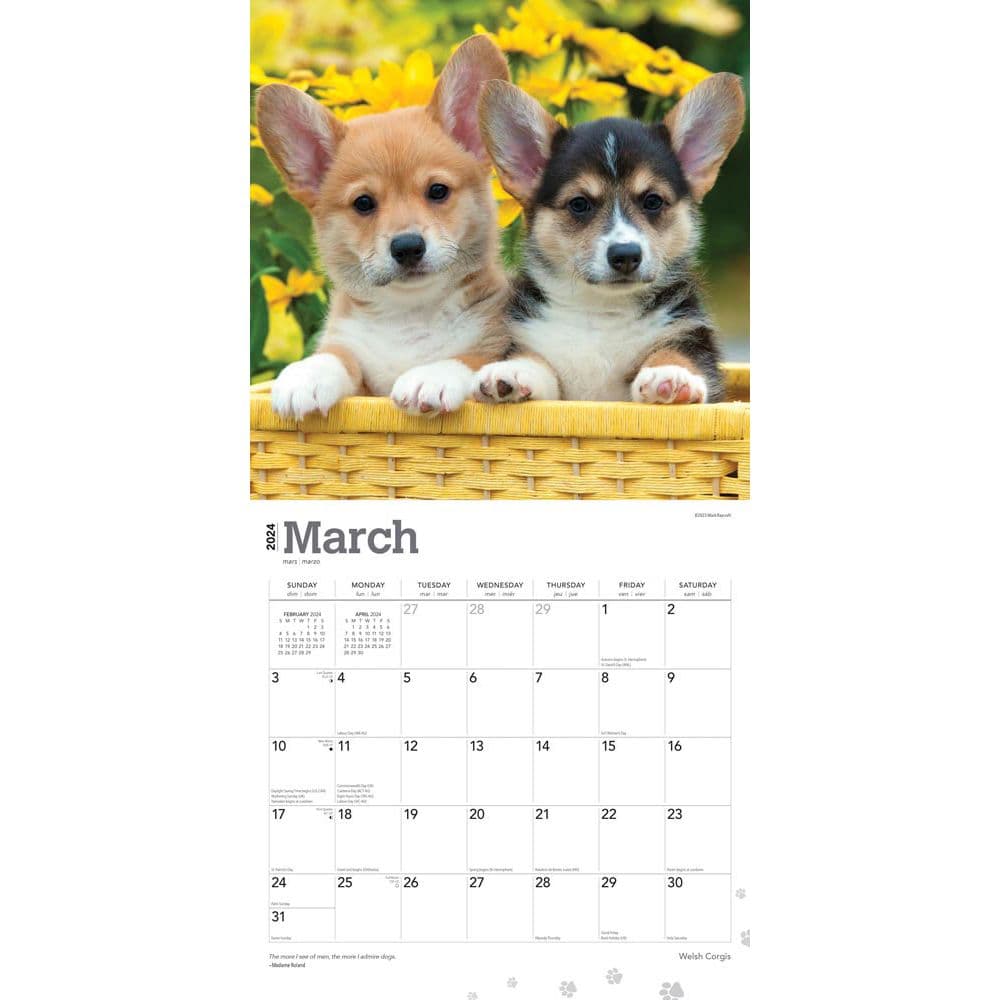 Welsh Corgis 2024 Wall Calendar - Calendars.com