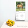 image Horse Lovers 2025 Wall Calendar Fourth Alternate Image