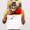 image Kittens 2026 Wall Calendar Fourth Alternate Image