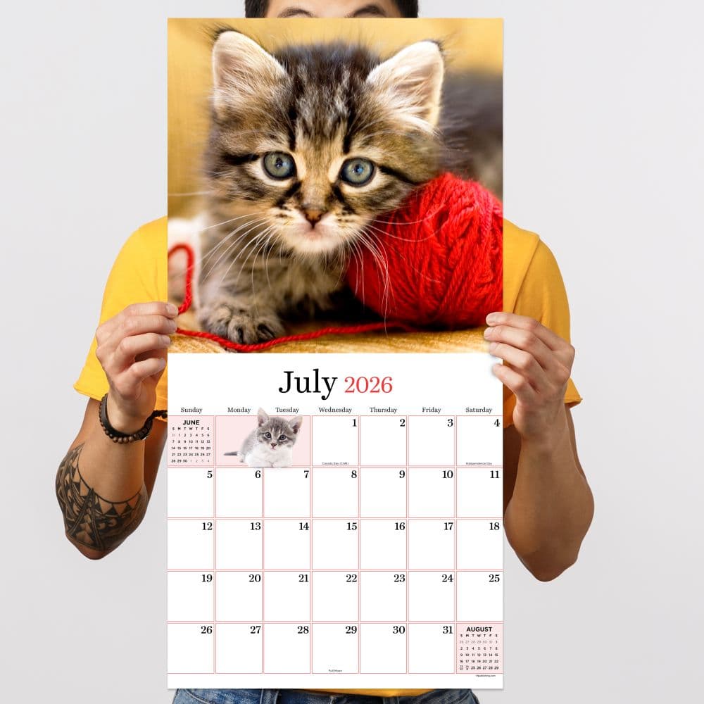 Kittens 2026 Wall Calendar Fourth Alternate Image