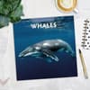 image Whales 2027 Wall Calendar Fourth Alternate Image