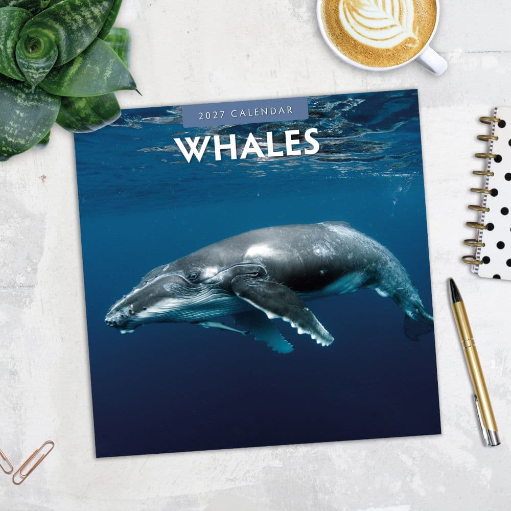 Whales 2027 Wall Calendar Fourth Alternate Image