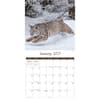 image Wildlife Special Value 2025 Wall Calendar