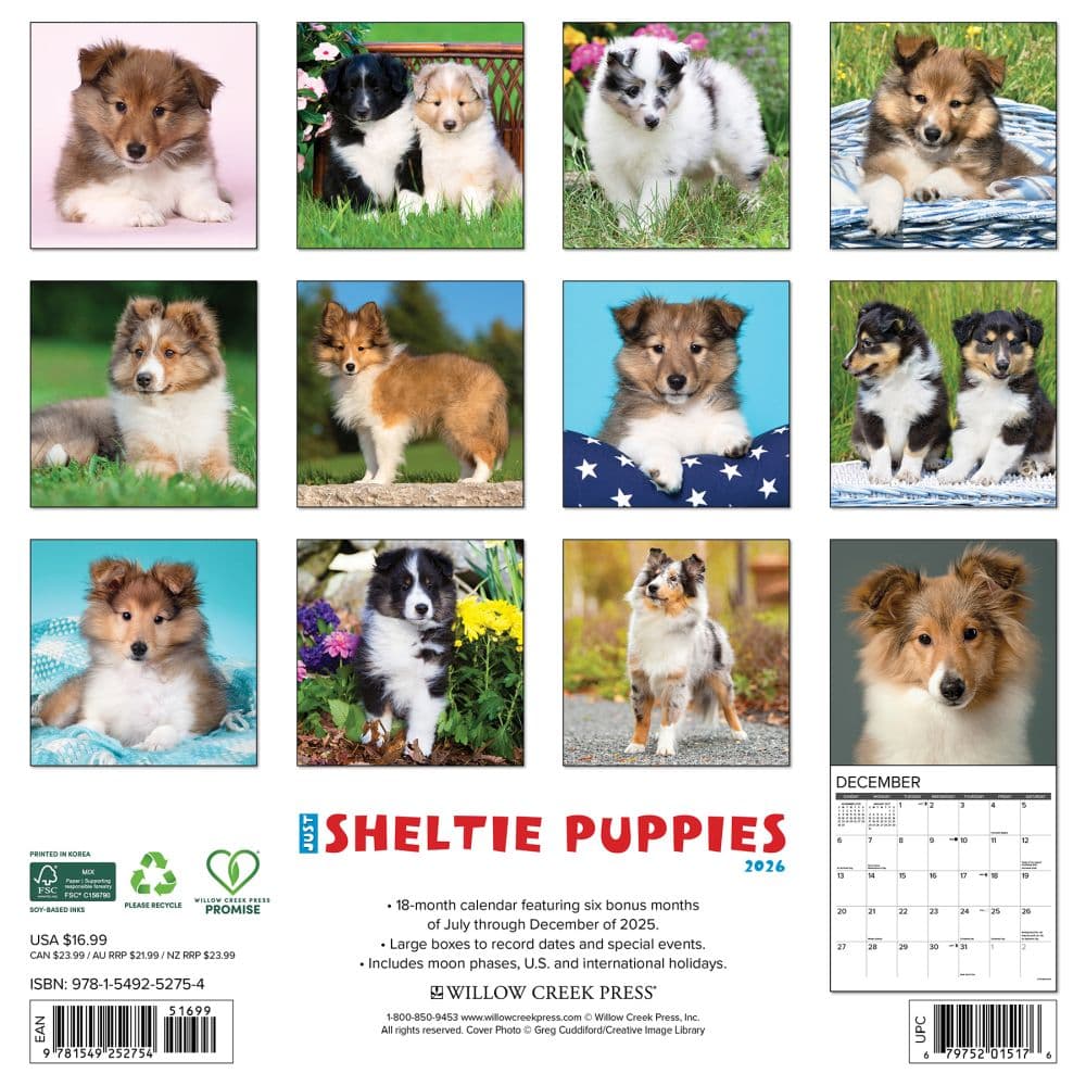 Just Sheltie Puppies 2026 Wall Calendar First Alternate Image