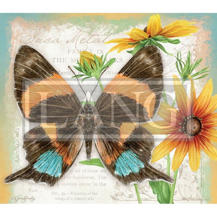 Butterflies 2024 Desktop Wallpaper Calendars Com   E1f8b3d9 Dbf6 46d6 Ac11 5ebf7698f23b