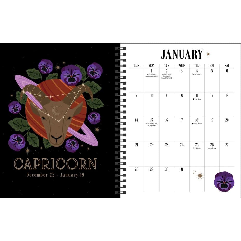 You Have the Magic 2024 Planner January