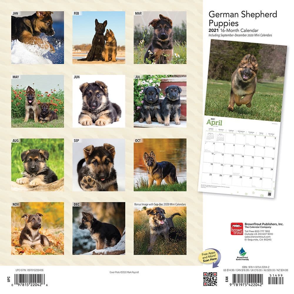 German Shepherd Puppies Wall Calendar Calendars Com