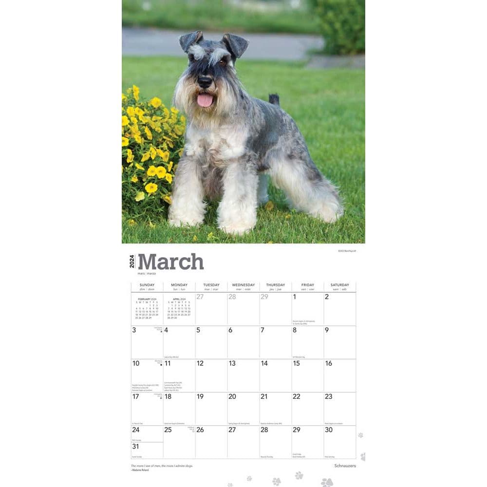 Schnauzers 2024 Wall Calendar