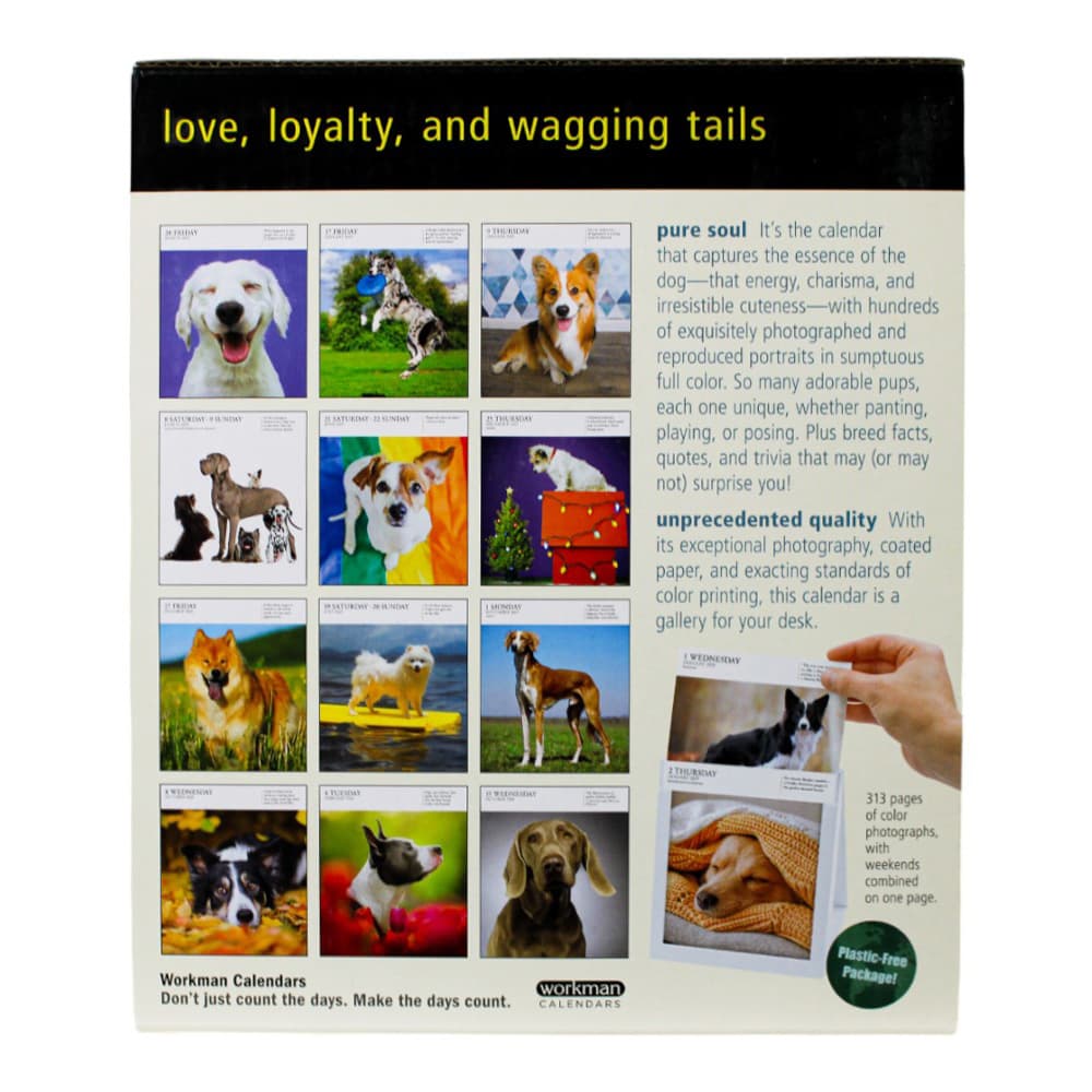 Dog Gallery 2025 Desk Calendar Fourth Alternate Image width=&quot;1000&quot; height=&quot;1000&quot;