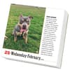 image Dogs 365 2026 Desk Calendar Second Alternate Image