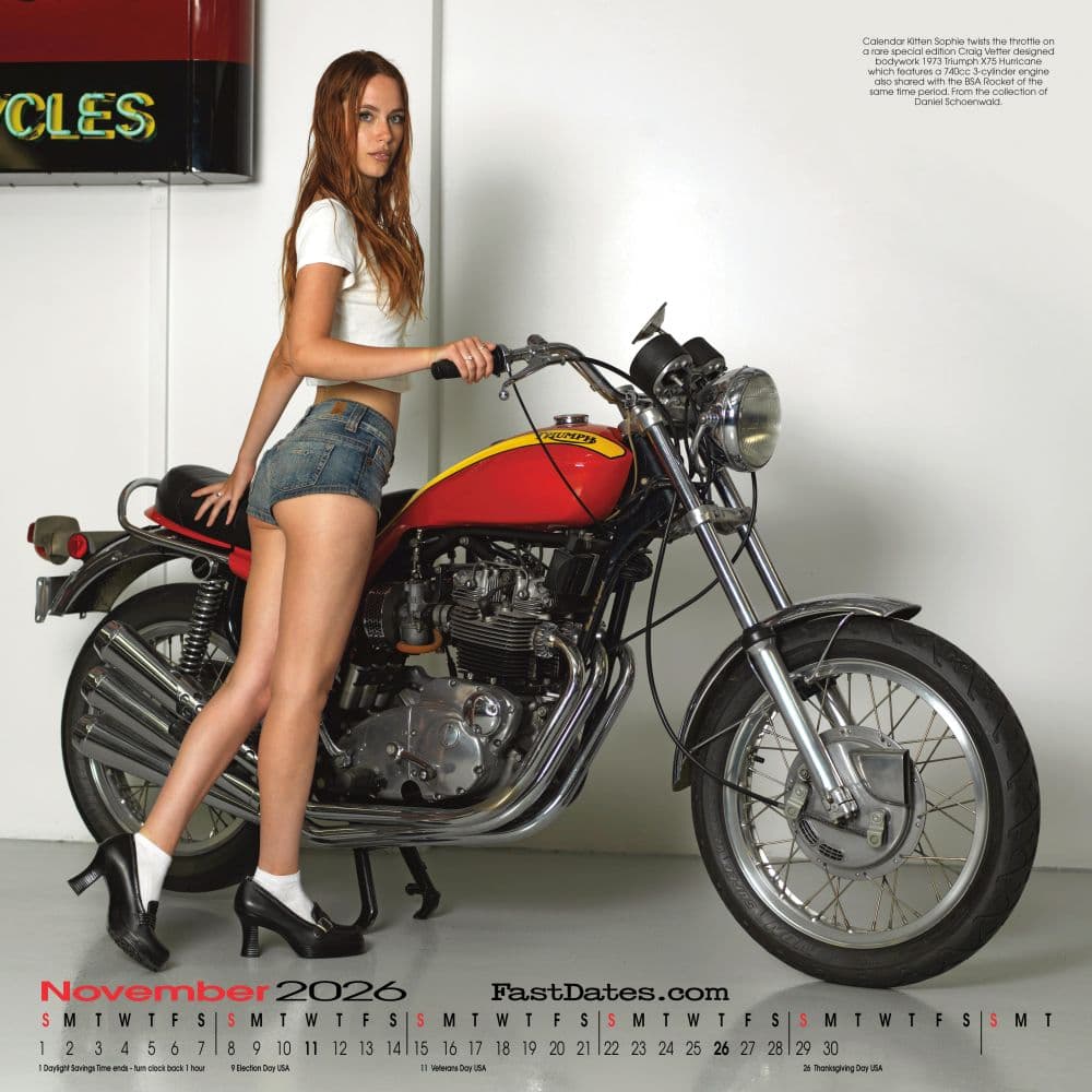 Iron and Lace 2026 Wall Calendar Seventh Alternate Image
