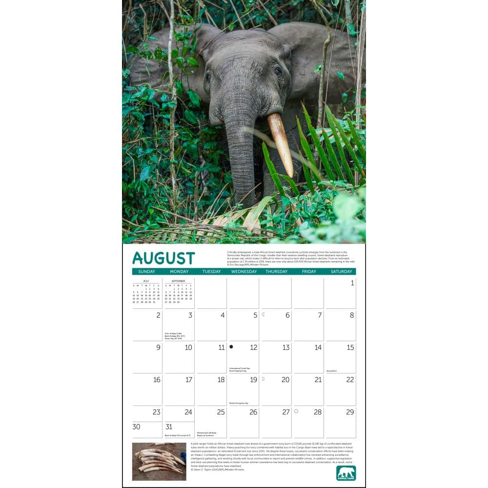 Project Green 2026 Wall Calendar Third Alternate image