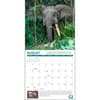 image Project Green 2026 Wall Calendar Third Alternate image