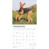 image Airedale Terriers 2025 Wall Calendar