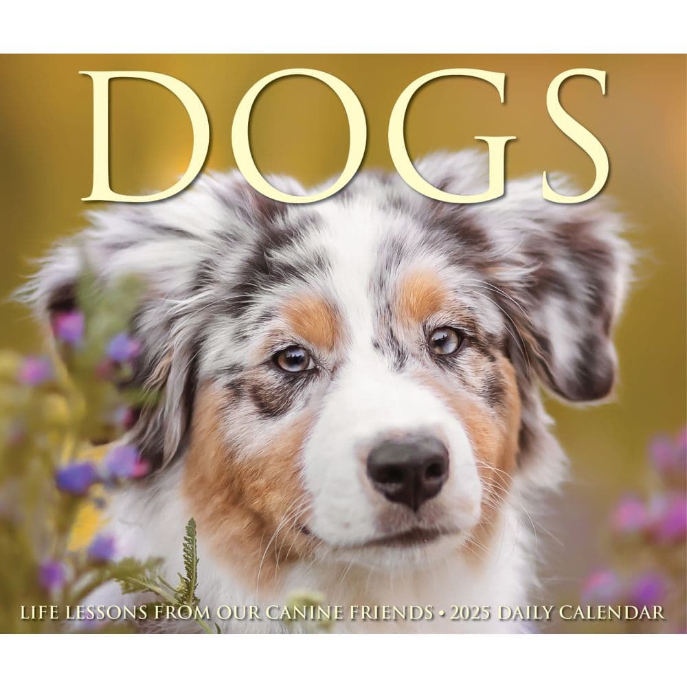 Dogs 2025 Desk Calendar