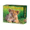 image Baby Animals 2025 Desk Calendar Main Product Image