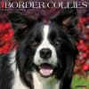 image Just Border Collies 2025 Wall Calendar Main Image