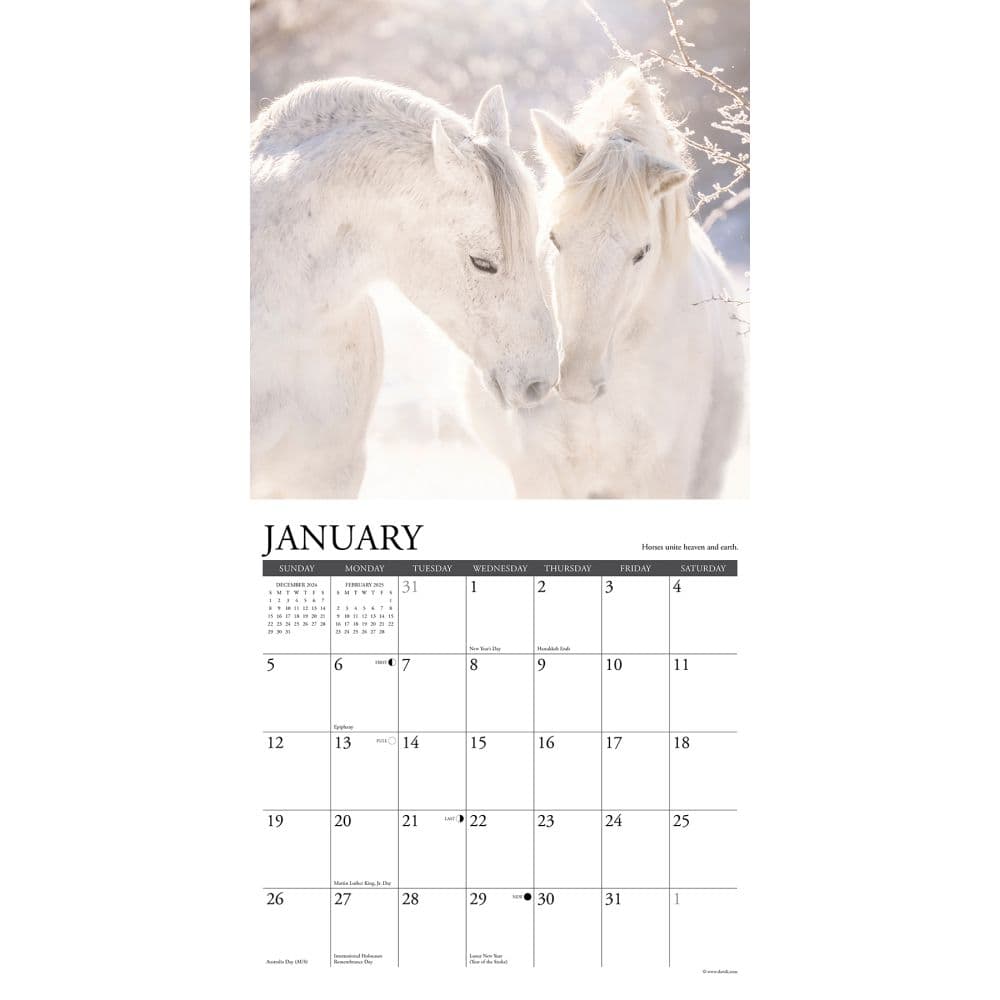 Happiness Is Horses 2025 Wall Calendar