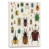 image Orders of the Animals Weekly SC 2024 Planner Main Product Image width=&quot;1000&quot; height=&quot;1000&quot;
