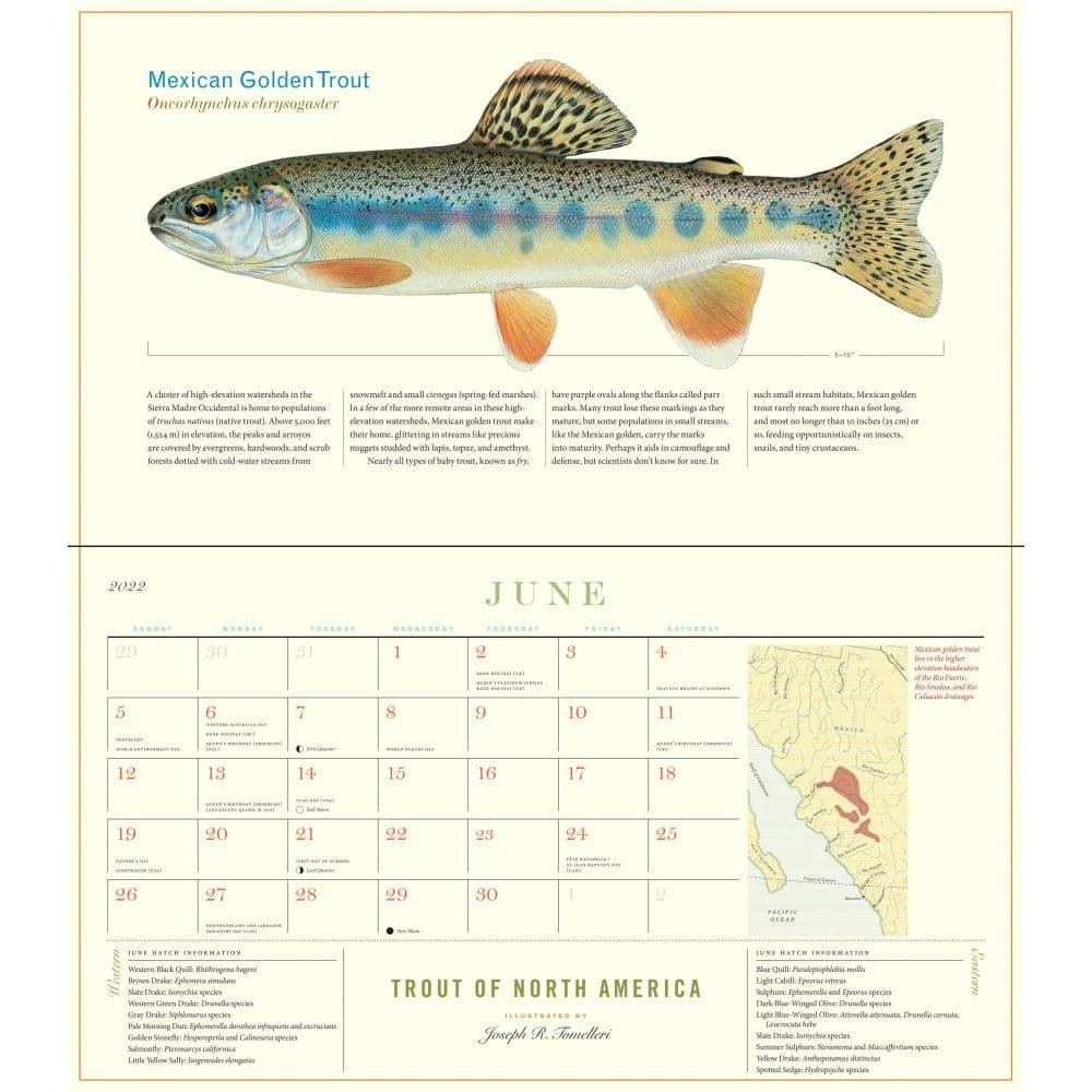 Trout Of North America 2022 Wall Calendar - Calendars.com