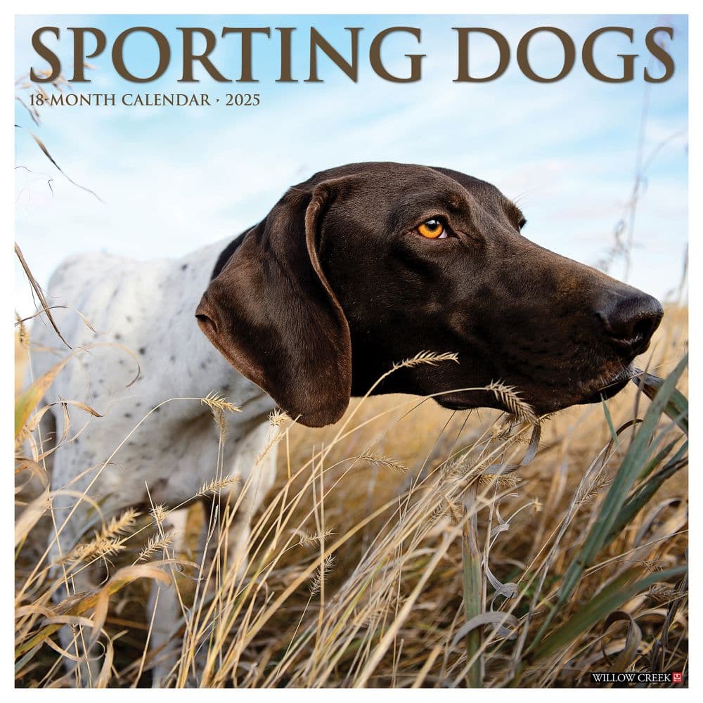 Sporting Dogs 2025 Wall Calendar