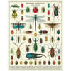 image Bugs and Insects 1000pc Puzzle Alternate 1