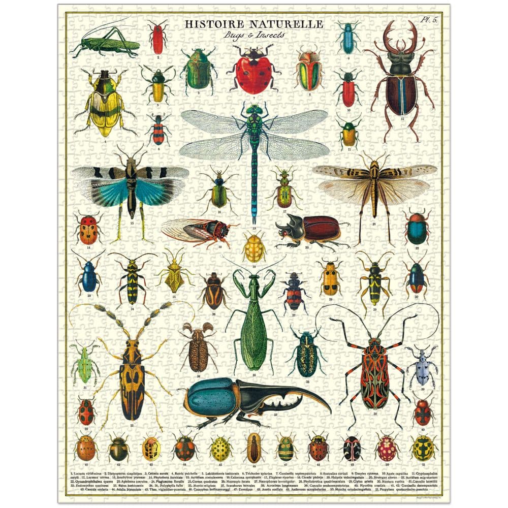 Bugs and Insects 1000pc Puzzle Alternate 1