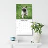 image Pugs 2027 Wall Calendar Fifth Alternate Image