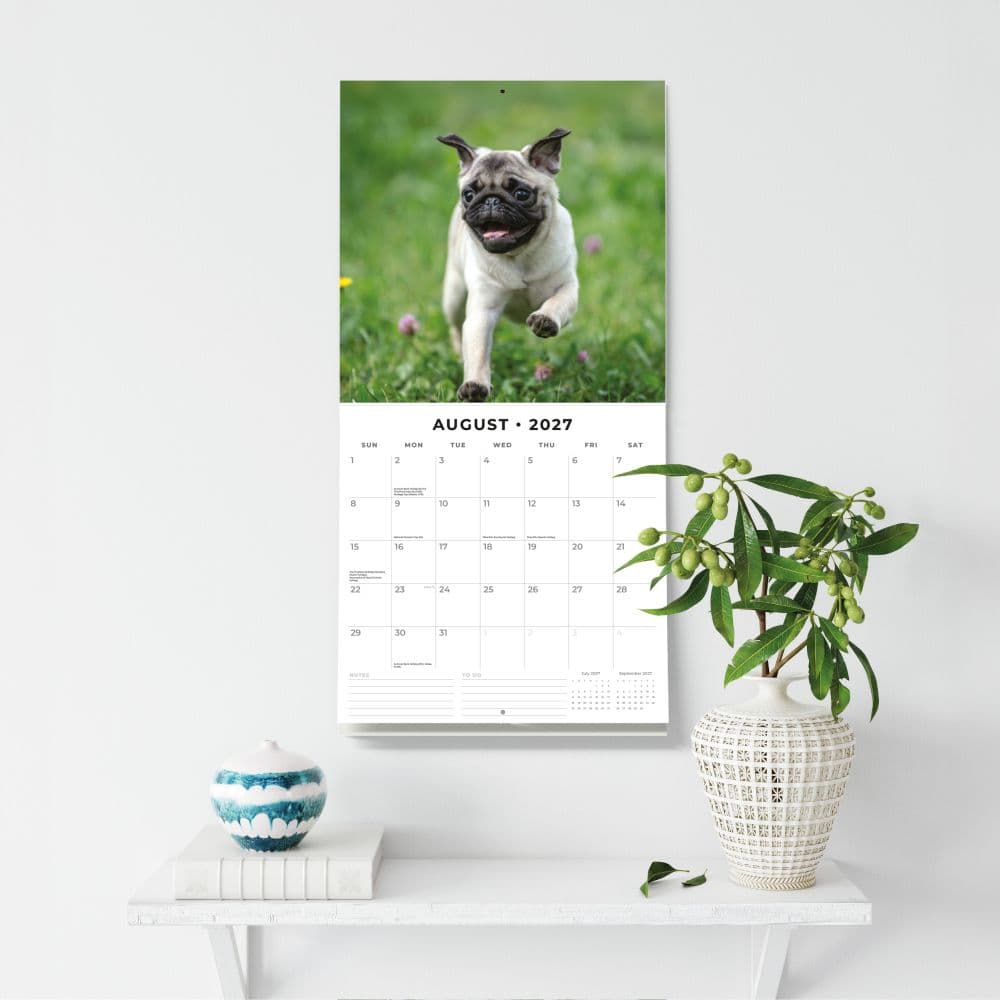 Pugs 2027 Wall Calendar Fifth Alternate Image