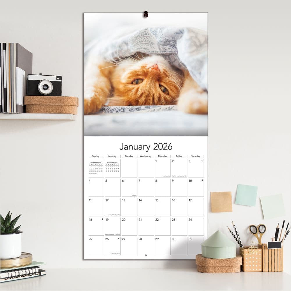 Cats Photo 2026 Wall Calendar_ALT4