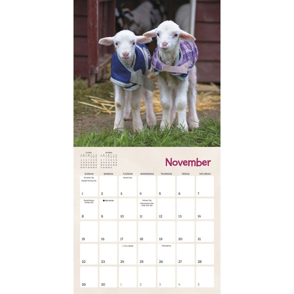 Lambies in Jammies 2026 Mini Wall Calendar Third Alternate Image