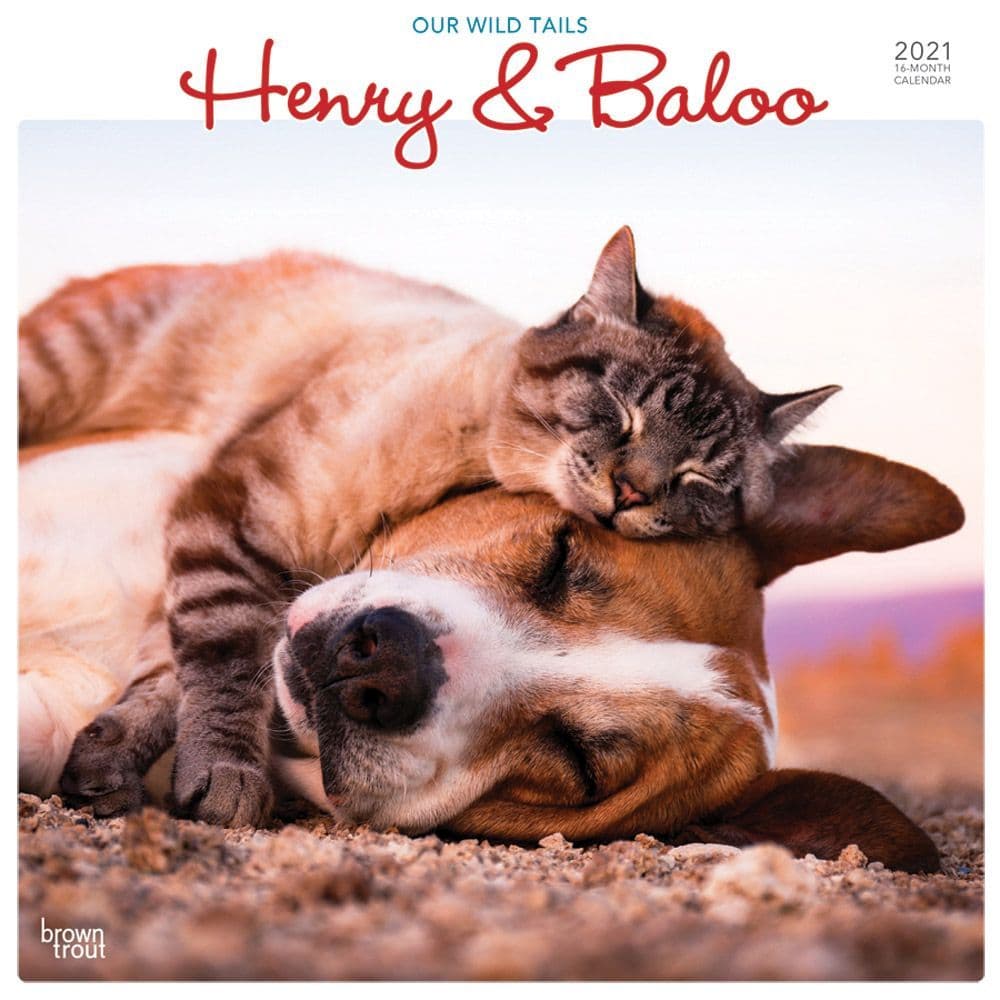 Our Wild Tails Henry and Baloo Wall Calendar