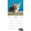 image Cats on Catnip 2027 Wall Calendar Third Alternate Image