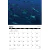 image Saltwater Sportsmen and Trophy Game 2025 Wall Calendar Alt2