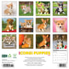 image Just Corgi Puppies 2026 Wall Calendar First Alternate Image
