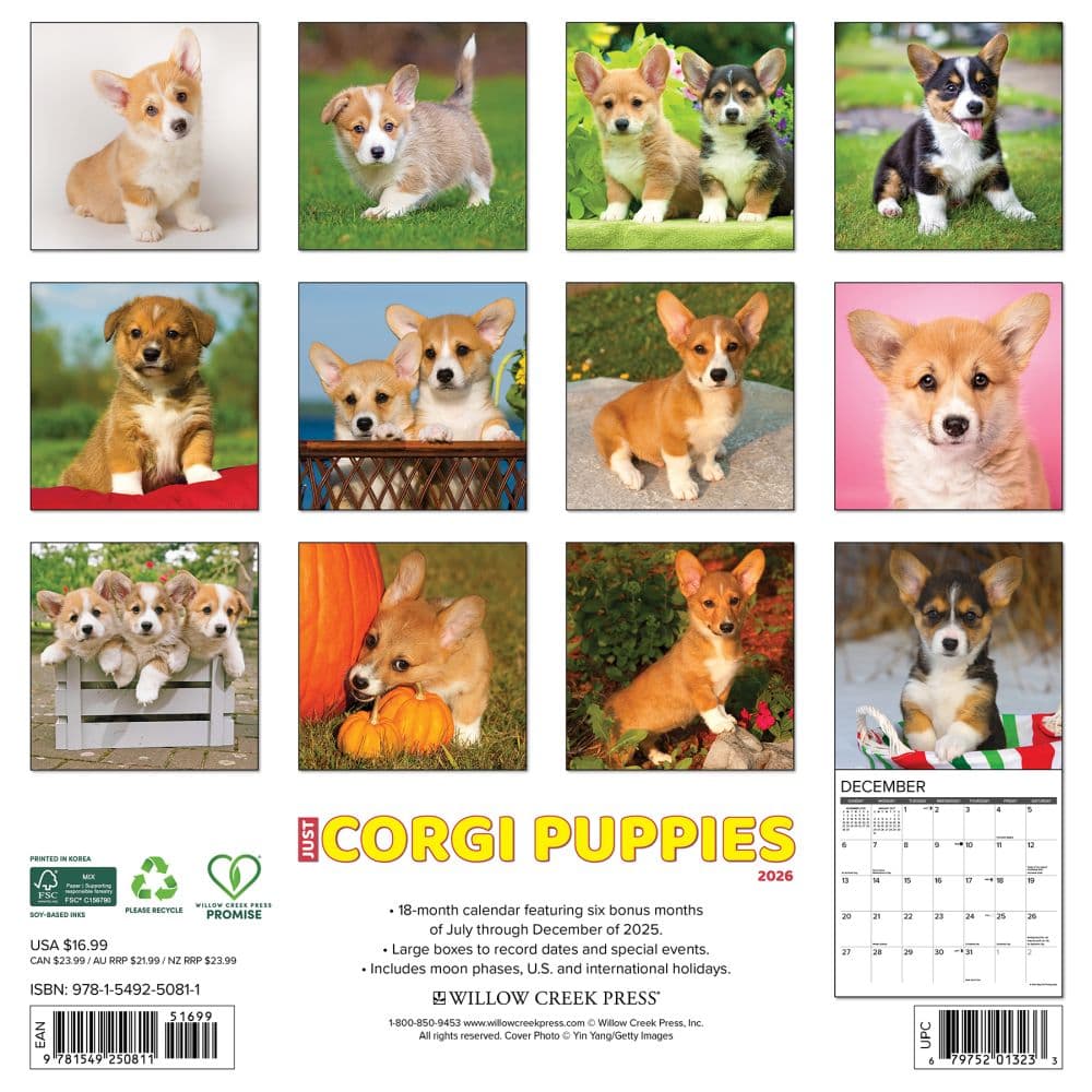 Just Corgi Puppies 2026 Wall Calendar First Alternate Image