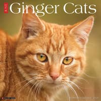 image Ginger Cats 2026 Wall Calendar  Main Image
