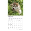 image Siberian Husky Puppies 2024 Mini Wall Calendar Second Alternate Image width=&quot;1000&quot; height=&quot;1000&quot;