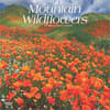 image Mountain Wildflowers 2025 Wall Calendar Main Image