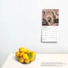 image Meerkats 2025 Mini Wall Calendar
