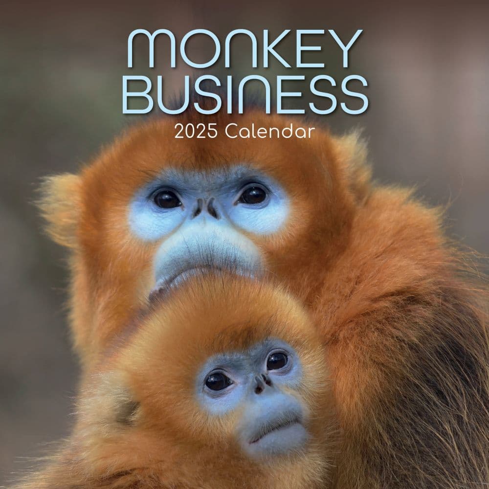 Monkey Business 2025 Wall Calendar Main Product Image width=&quot;1000&quot; height=&quot;1000&quot;