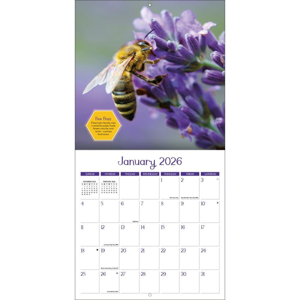 Busy Bees 2026 Wall Calendar_ALT3